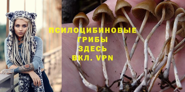 наркотики Магас